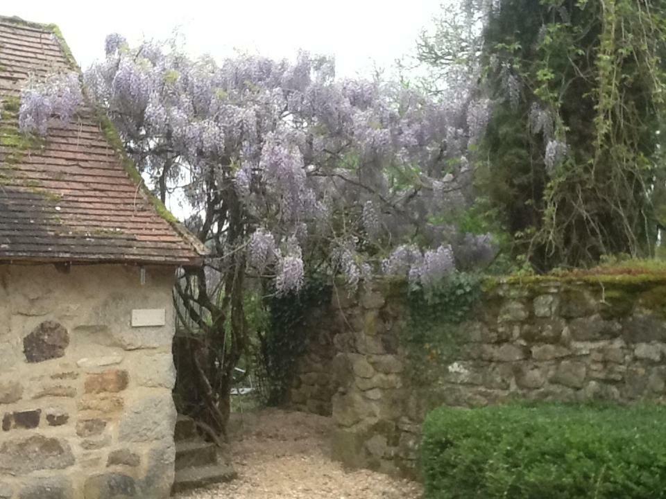 Domaine De Sautou Hotel Castanet  Buitenkant foto